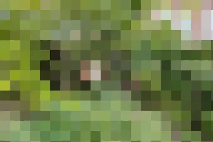Langewoldlaan 31 Groningen thumbnail 55
