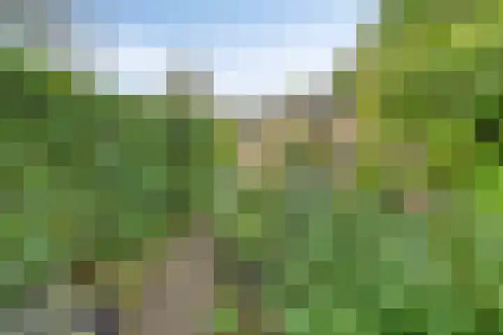 Langewoldlaan 31 Groningen thumbnail 56