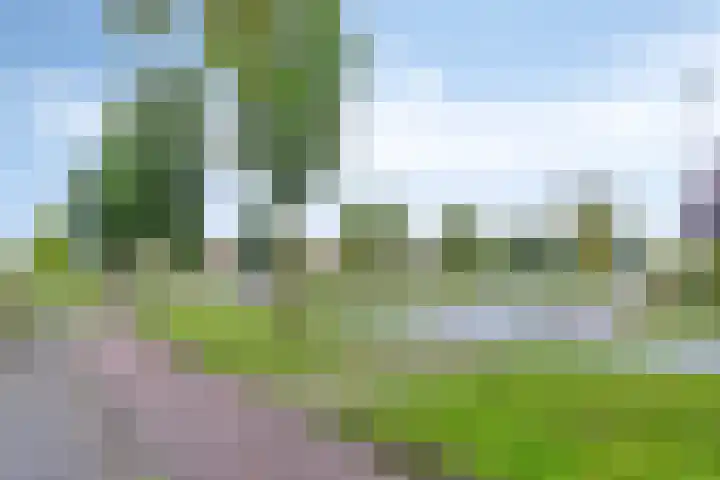 Langewoldlaan 31 Groningen thumbnail 59