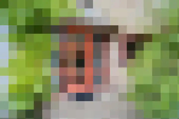 Langewoldlaan 31 Groningen thumbnail 7