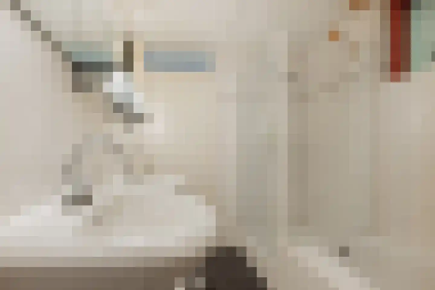 Langewoldlaan 39 Groningen thumbnail 28