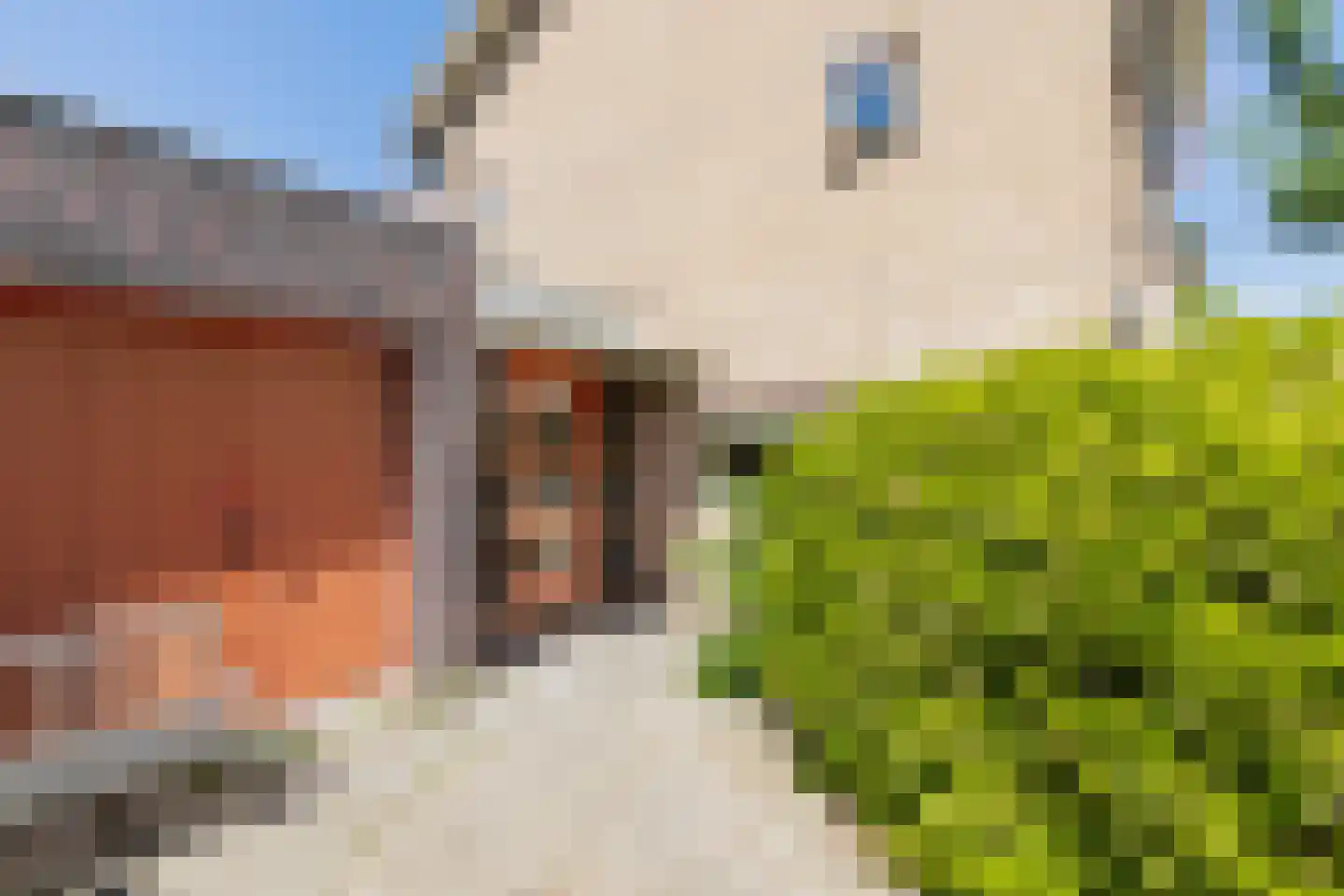 Langewoldlaan 39 Groningen thumbnail 6