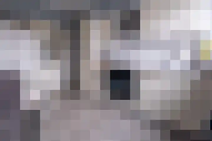 Langewoldstraat 2 A Leek thumbnail 20