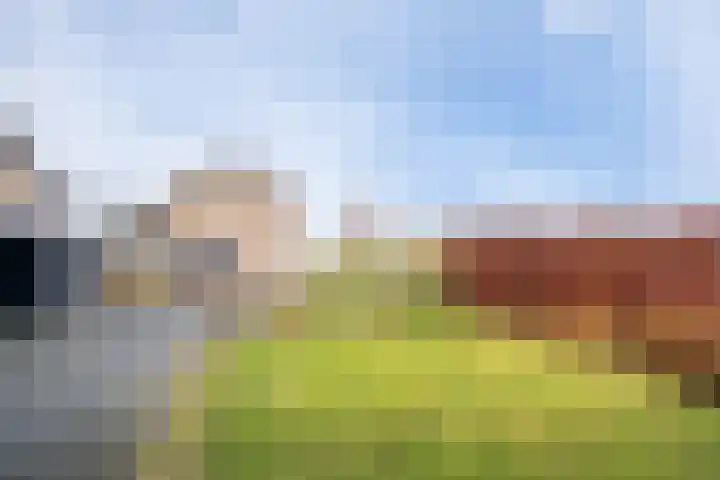 Langewoldstraat 2 A Leek thumbnail 34