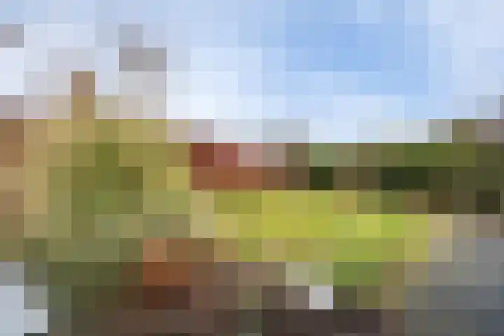 Langewoldstraat 2 A Leek thumbnail 35