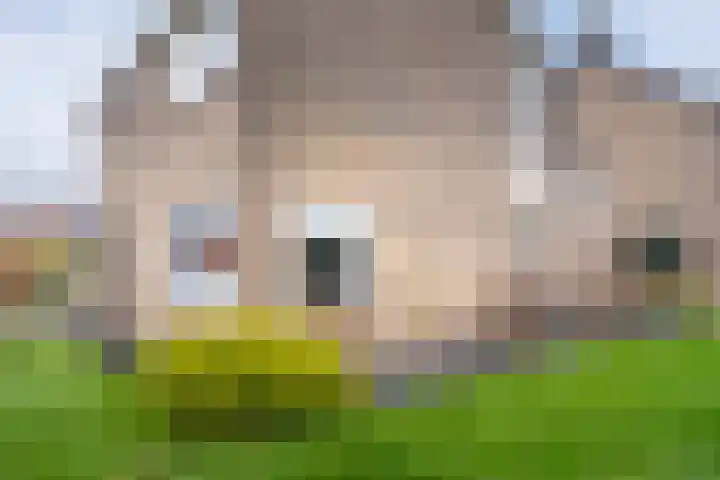 Langewoldstraat 2 A Leek thumbnail 7
