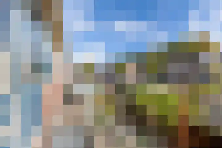Langewyk 115 Drachten thumbnail 30