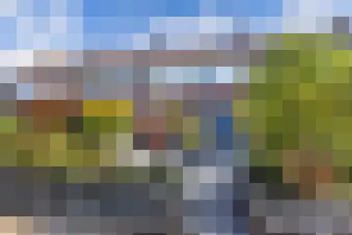 Langewyk 115 Drachten thumbnail 4