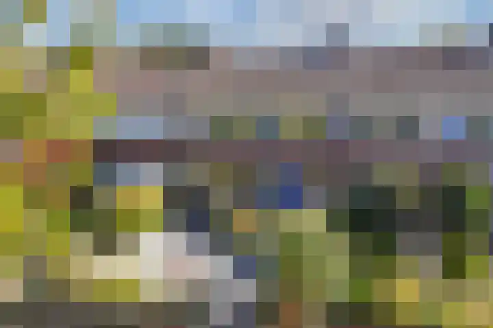 Langewyk 115 Drachten thumbnail 41