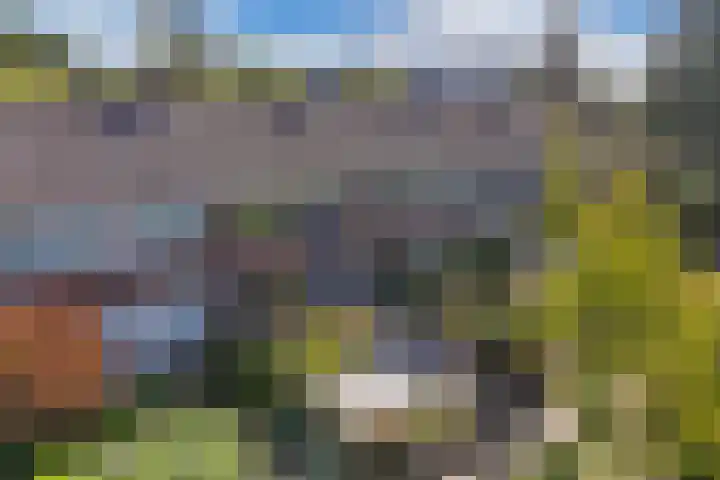 Langewyk 115 Drachten thumbnail 42