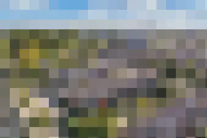 Langewyk 115 Drachten thumbnail 43