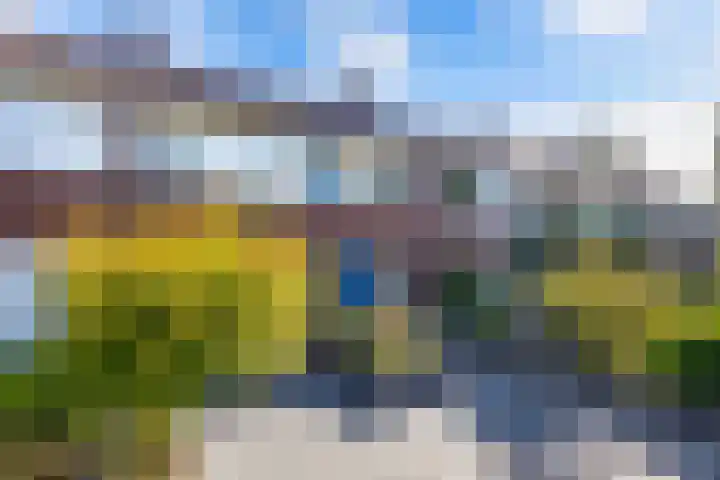 Langewyk 115 Drachten thumbnail 5