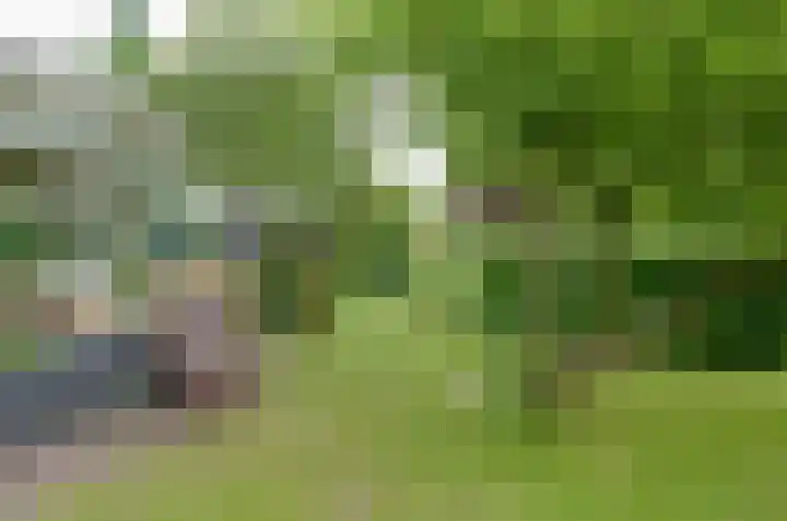 Langewyk 18 Boelenslaan thumbnail 36
