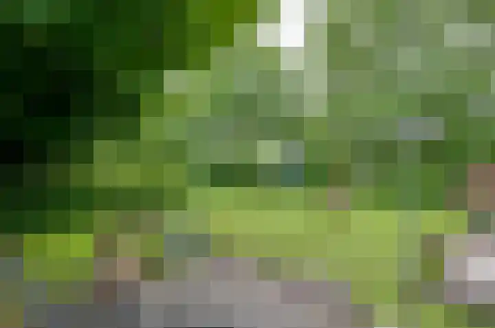 Langewyk 18 Boelenslaan thumbnail 37