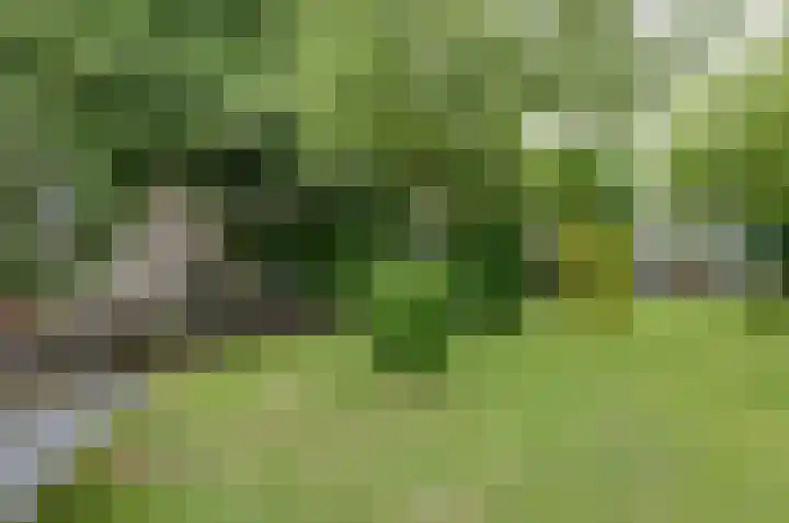 Langewyk 18 Boelenslaan thumbnail 38
