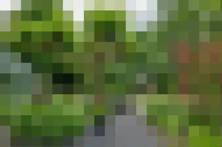 Langewyk 18 Boelenslaan thumbnail 40