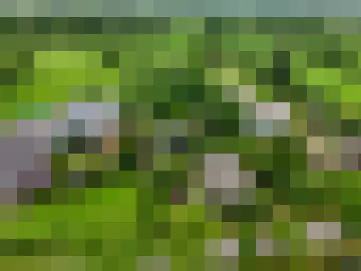 Langewyk 18 Boelenslaan thumbnail 41