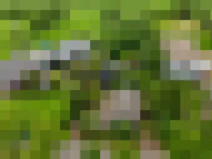Langewyk 18 Boelenslaan thumbnail 42