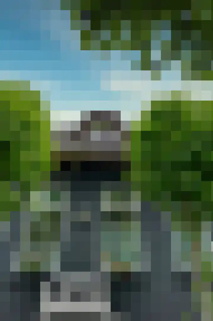 Langewyk 18 Boelenslaan thumbnail 46