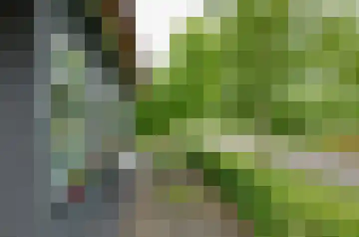 Langewyk 18 Boelenslaan thumbnail 47