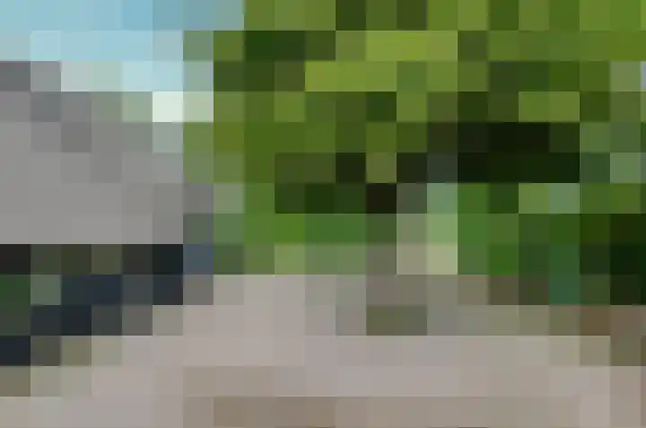 Langewyk 18 Boelenslaan thumbnail 49