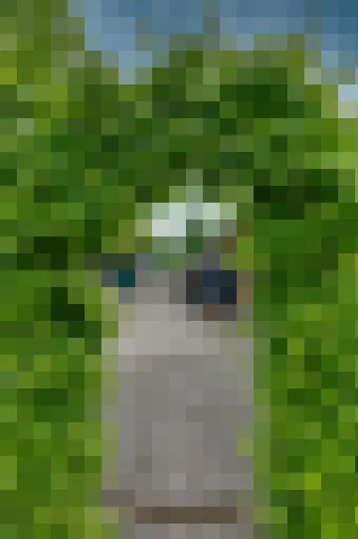 Langewyk 18 Boelenslaan thumbnail 50