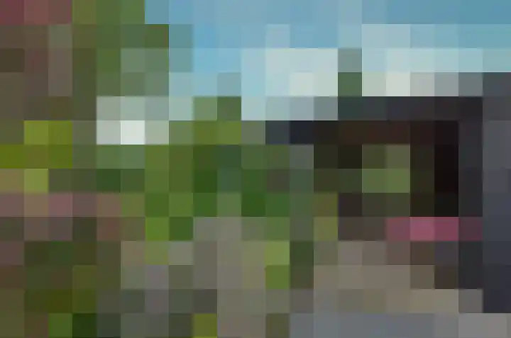 Langewyk 18 Boelenslaan thumbnail 53
