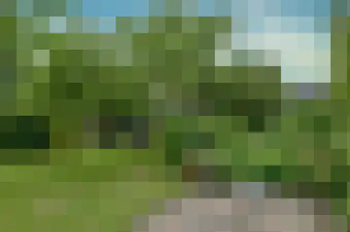 Langewyk 18 Boelenslaan thumbnail 55