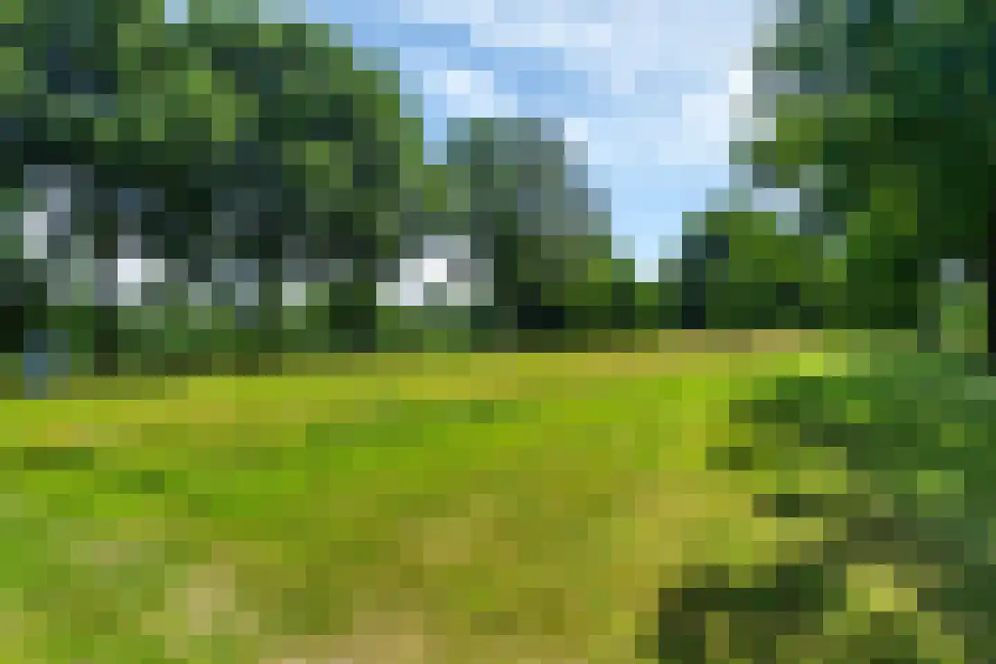 Langewyk 92 Drachten thumbnail 38