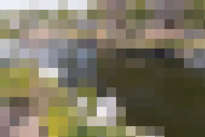 Langezand 103 Harderwijk thumbnail 38
