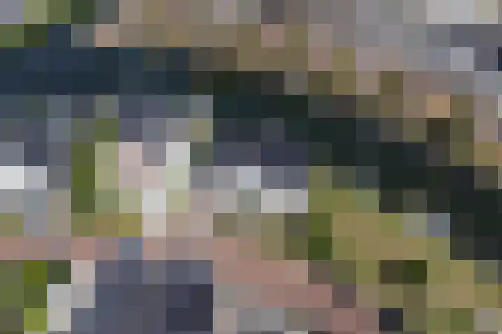 Langezand 103 Harderwijk thumbnail 6