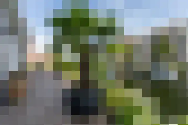 Langezand 103 Harderwijk thumbnail 61