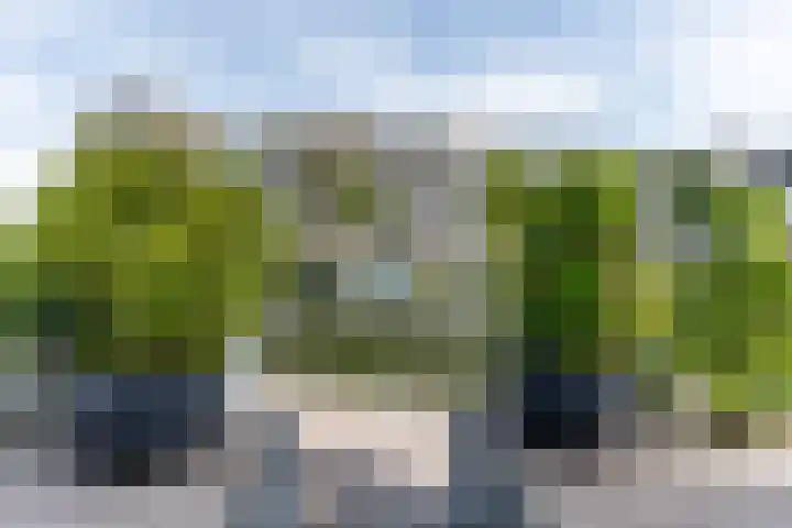 Langezand 103 Harderwijk thumbnail 62