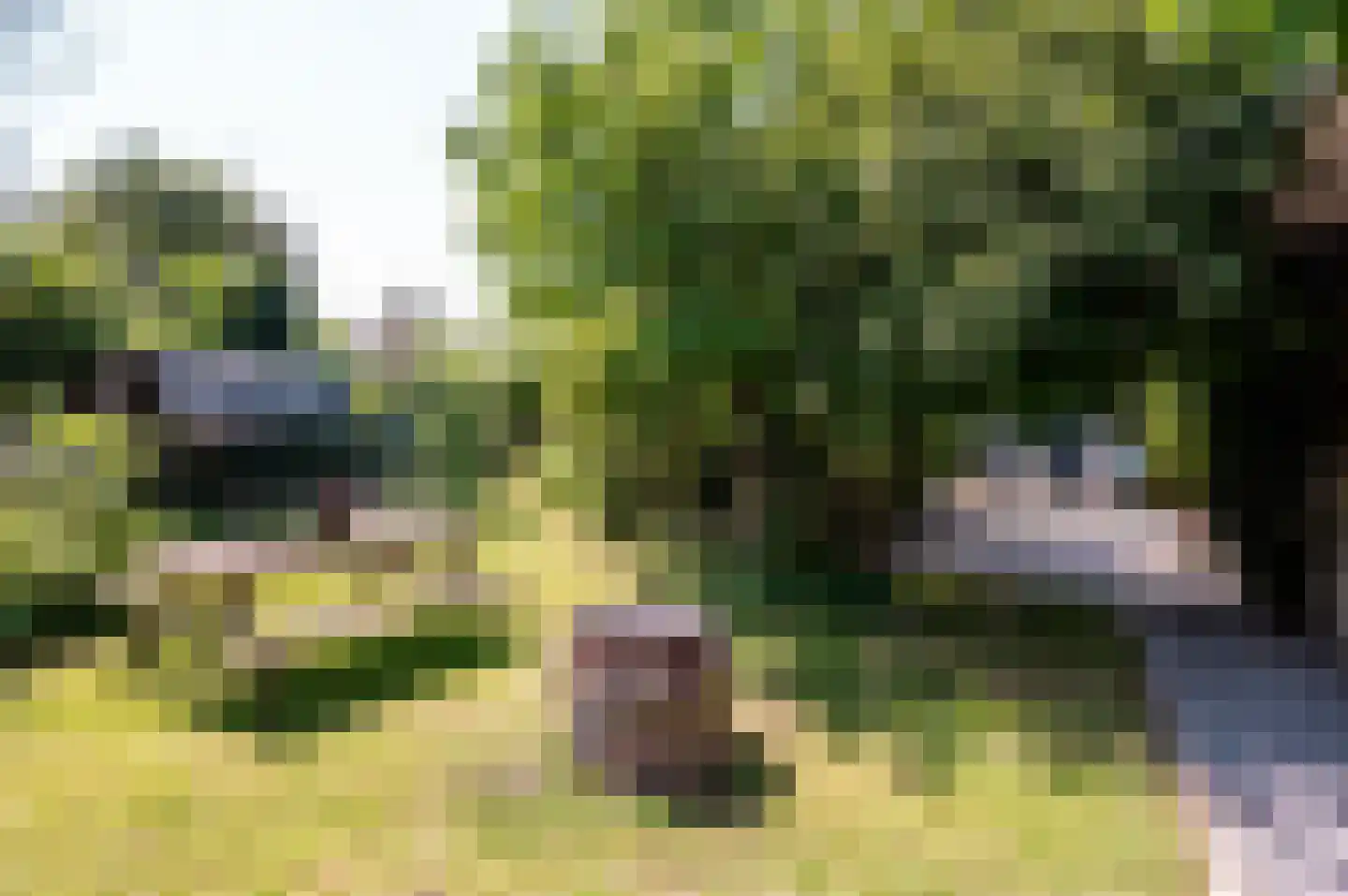 Langezand 140 Lelystad thumbnail 37
