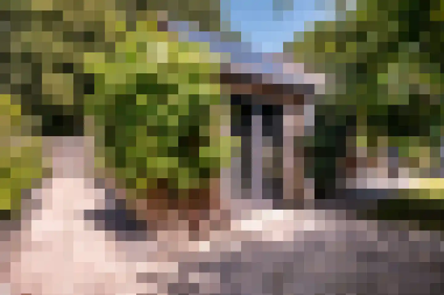Langezand 140 Lelystad thumbnail 42