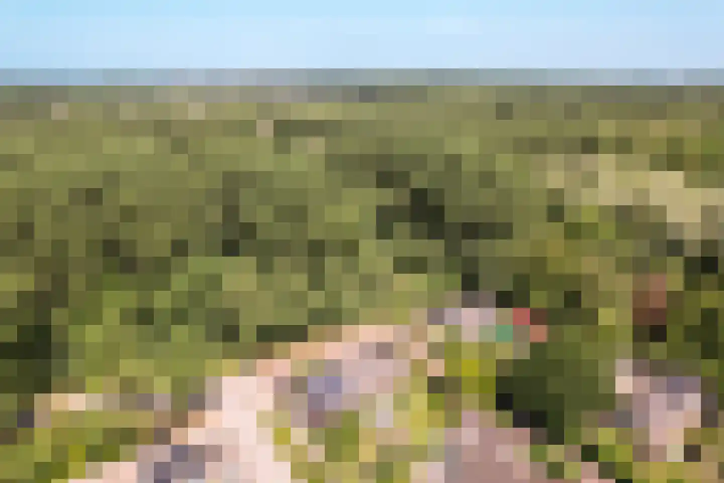 Langezand 140 Lelystad thumbnail 48