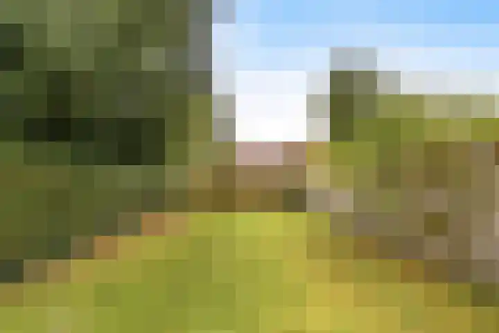 Langezand 19 Lelystad thumbnail 28