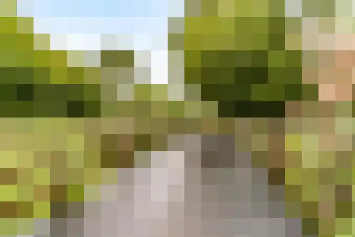 Langezand 19 Lelystad thumbnail 31