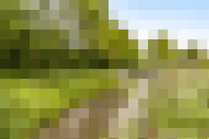 Langezand 19 Lelystad thumbnail 32