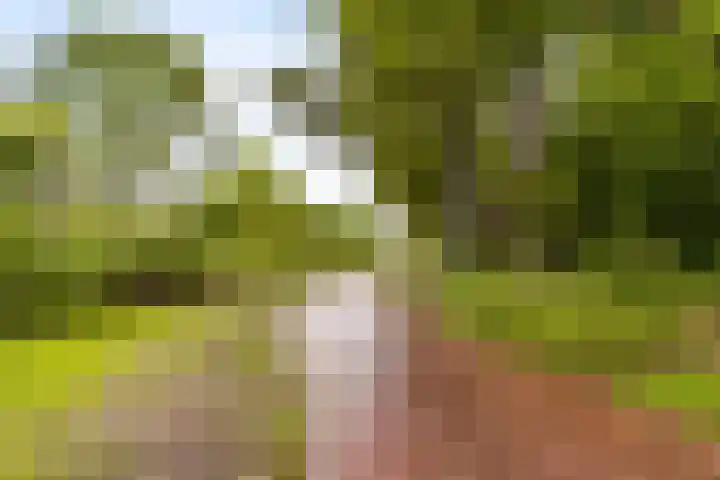Langezand 19 Lelystad thumbnail 33