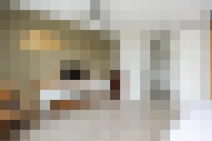 Langezand 28 Harderwijk thumbnail 22
