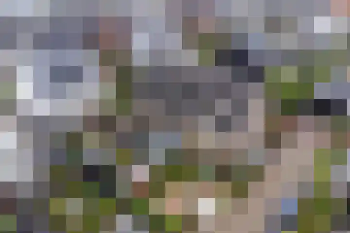 Langezand 28 Harderwijk thumbnail 4