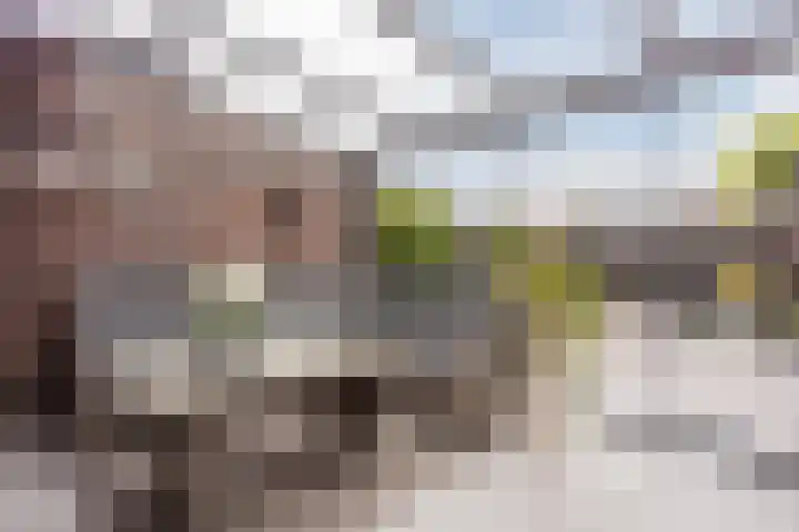 Langezand 28 Harderwijk thumbnail 42