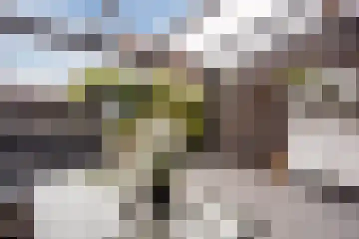 Langezand 28 Harderwijk thumbnail 43