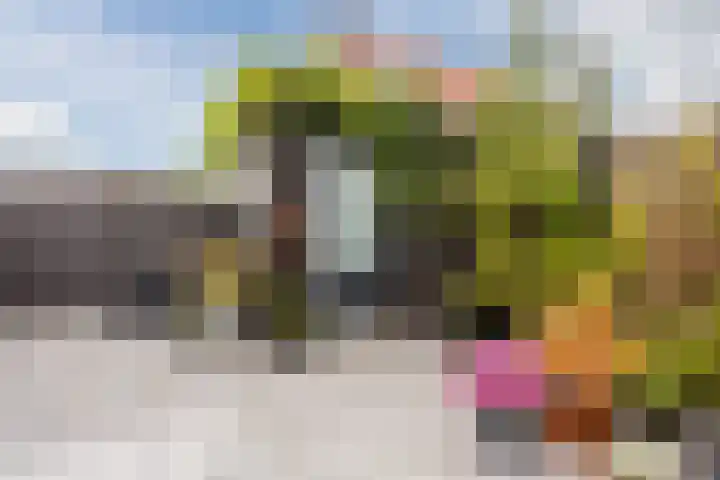 Langezand 28 Harderwijk thumbnail 46