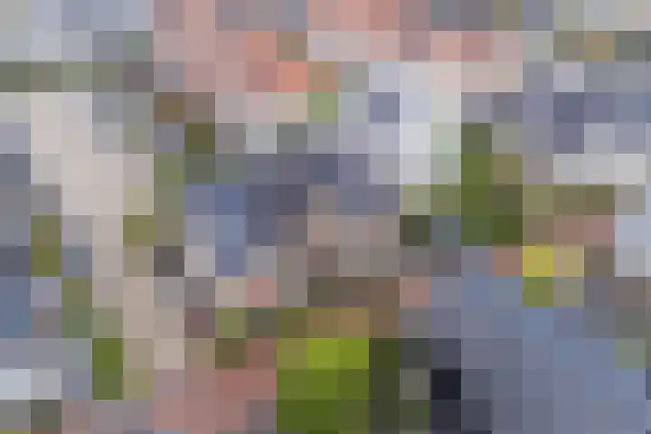 Langezand 28 Harderwijk thumbnail 53