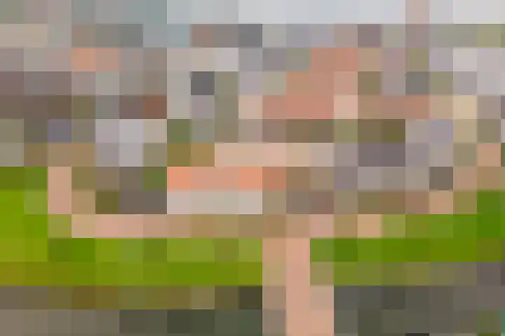 Langezand 36 Harderwijk thumbnail 47