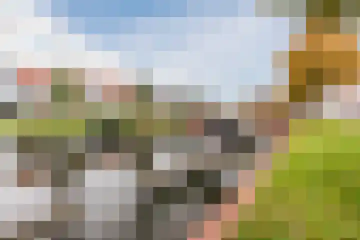 Langezand 41 Harderwijk thumbnail 43