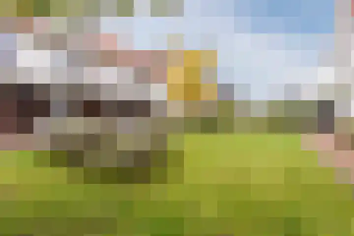 Langezand 41 Harderwijk thumbnail 45