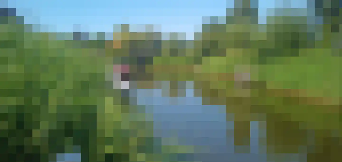 Langezand 45 Makkum thumbnail 8